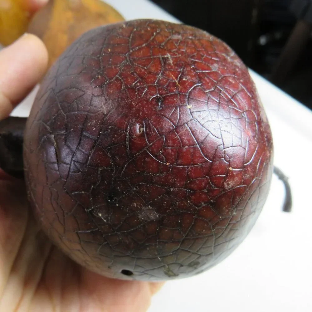 N/A vintage fruit